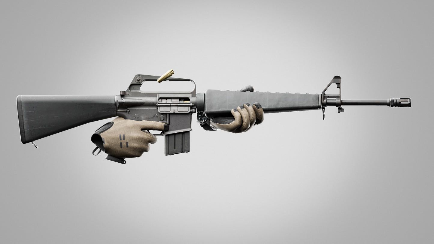 M16A1 NAM