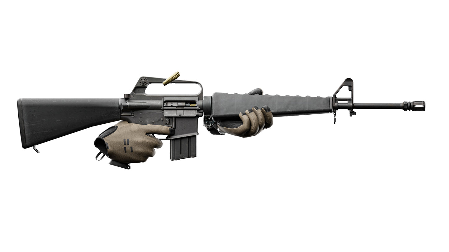 M16A1 NAM